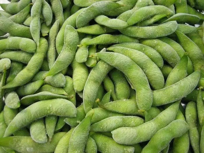 
high quality IQF frozen green soybean frozen edamame in pod 