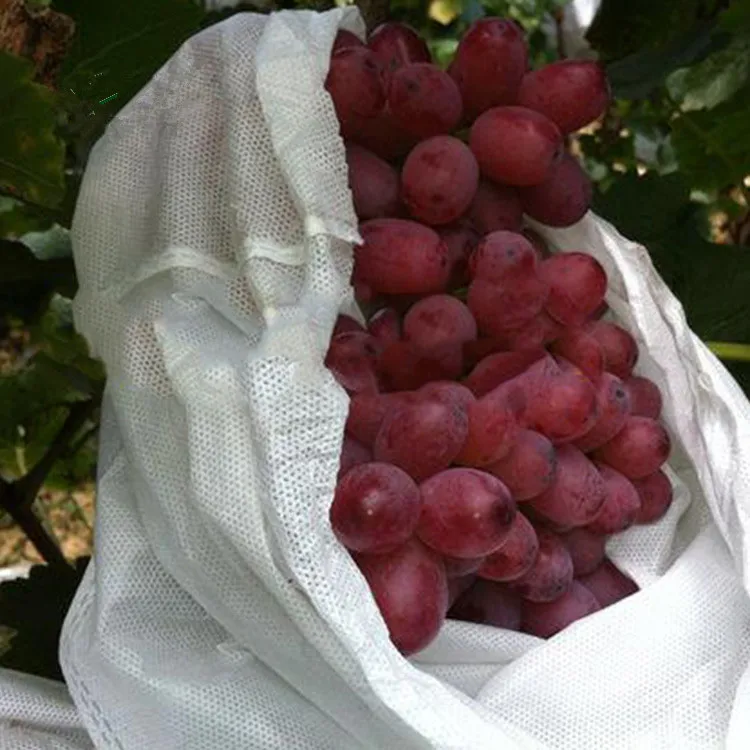 Pp spunbond нетканый дышащий защитный чехол для растений защитные пакеты фруктов