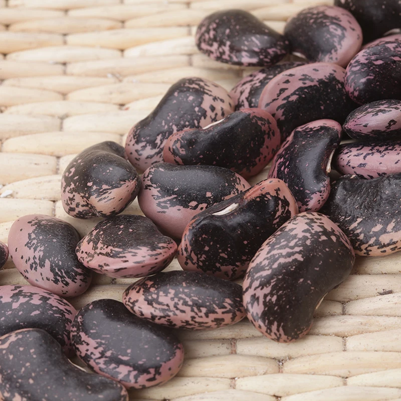 Organic large black speckled kidney bean for sale