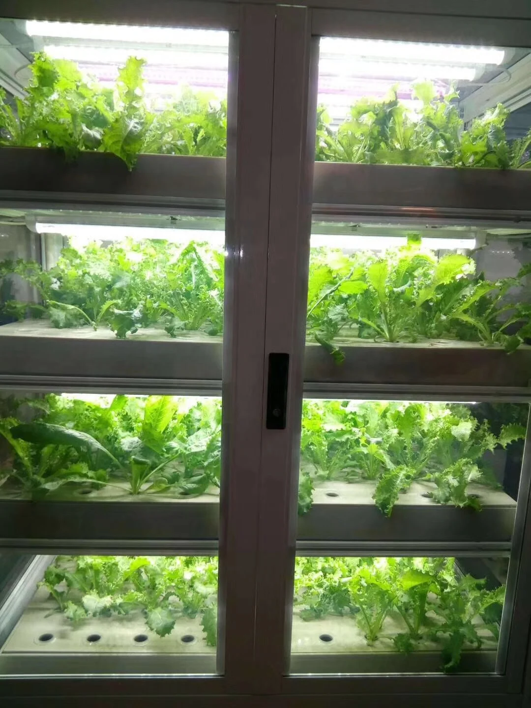 
Small Home Complete Vertical Indoor Hydroponic Lighting Growing Systems For Medical plants ,vegetables growth 