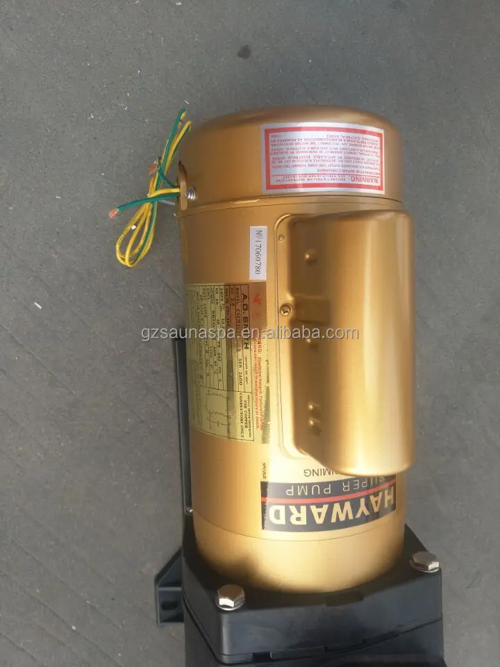 2 swimming pool water pump