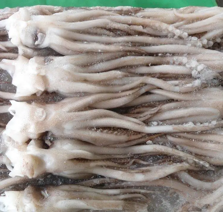 Высококачественные Натуральные морепродукты, Замороженные Свежие кальмары