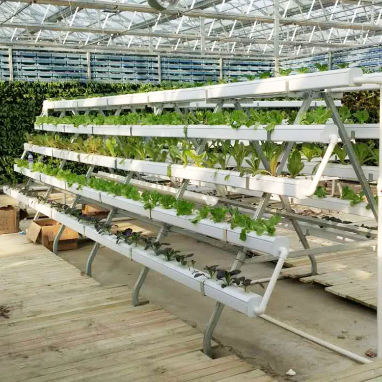 
Bigger Size Hydroponics Nft Growing Systems For Greenhouse 