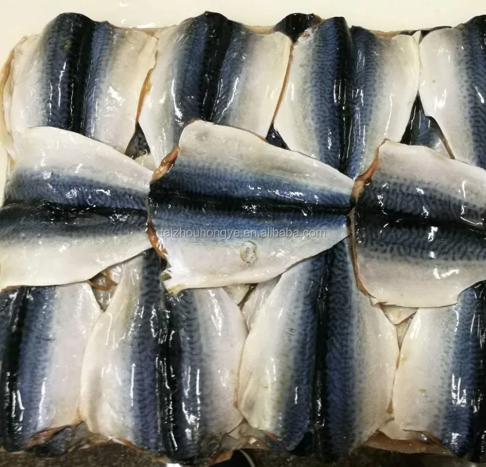 New material frozen pacific mackerel scomber japonicus butterfly flaps fillet for promotion with good quality