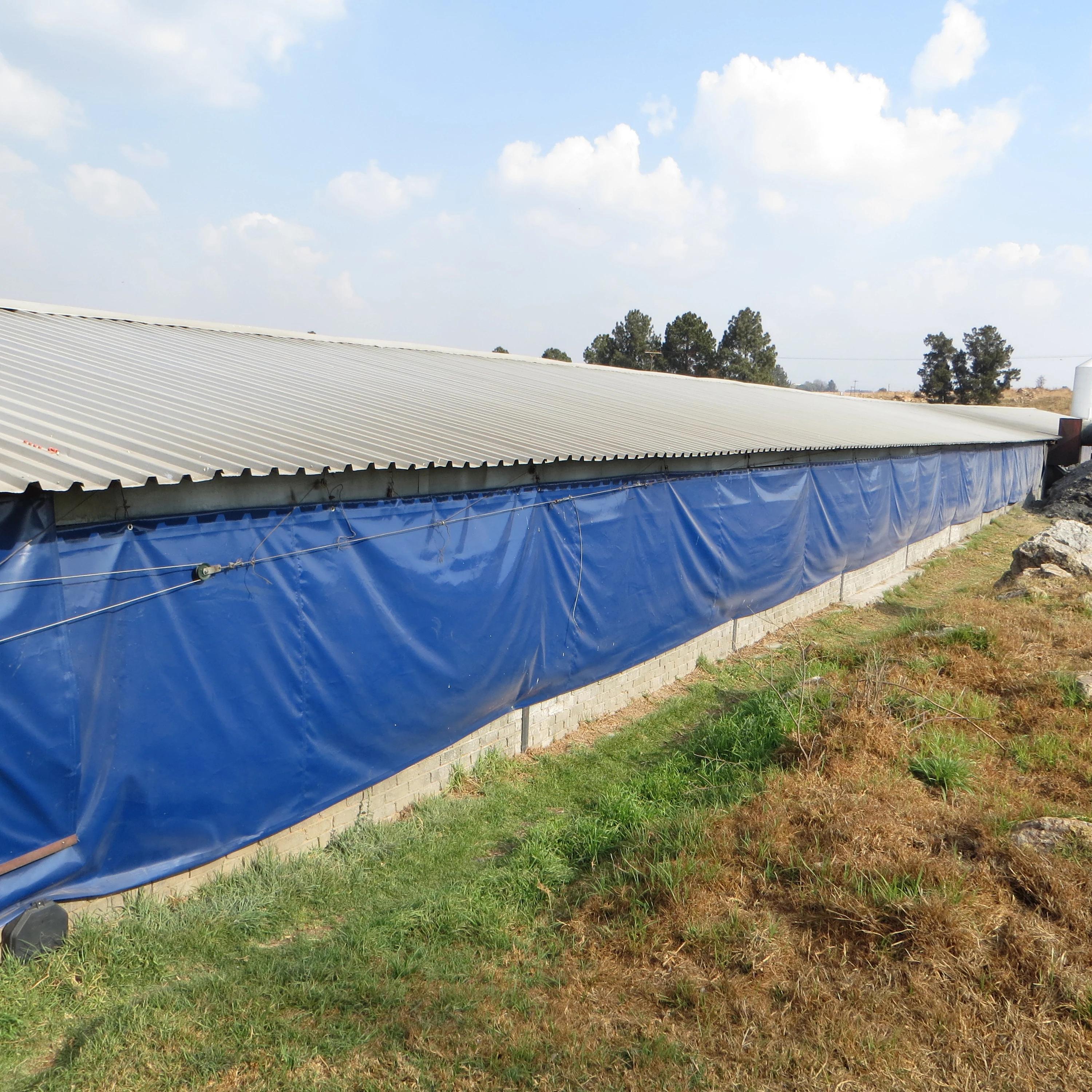 Высокое качество ПВХ птицы дом занавес для птицефермы