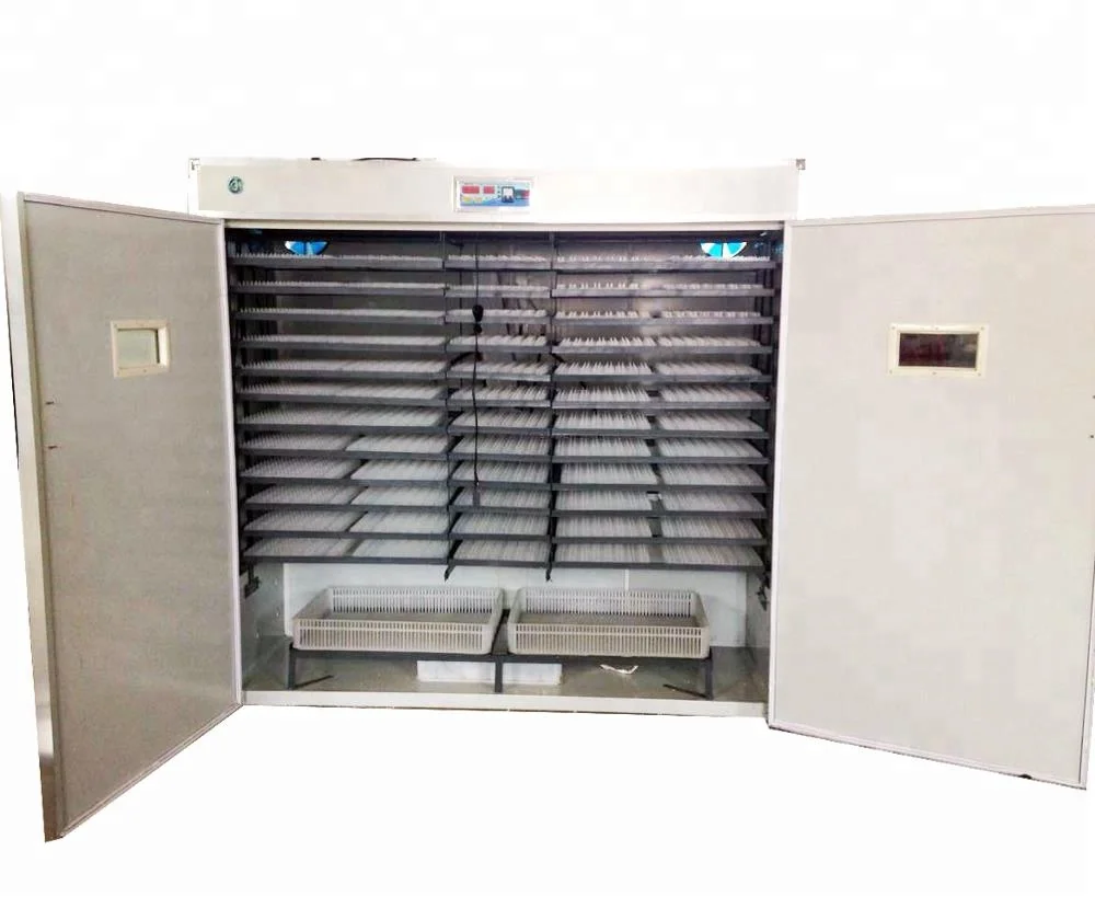
March Special Offer 5000 automatic eggs incubators hatching eggs machine for sale 