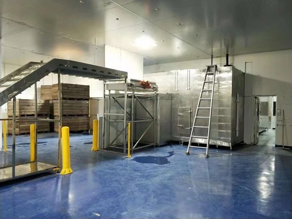 Заводской поставщик, целый набор замороженных зеленых Горохов, зеленых бобов, чеснока, лука, замороженных фруктов и овощей, оборудование для переработки