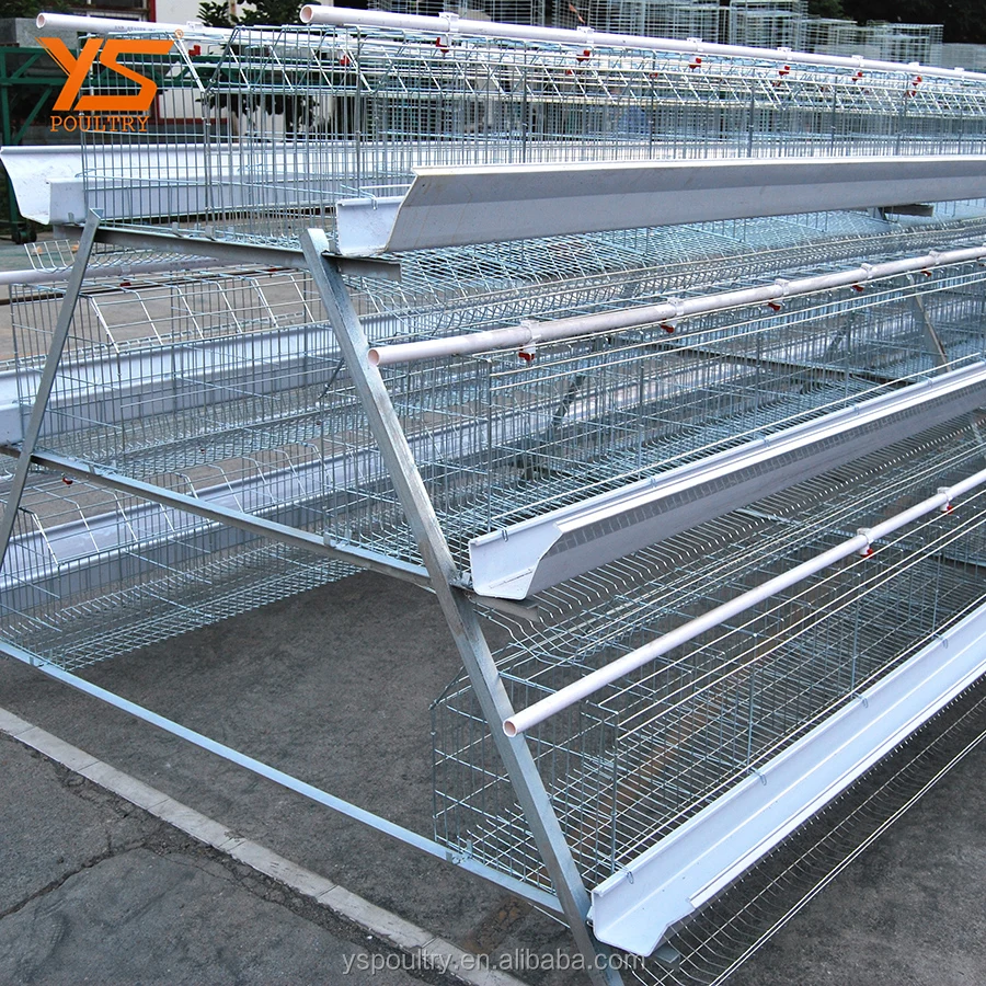 
A Type Automatic Chicken Layer Coop 