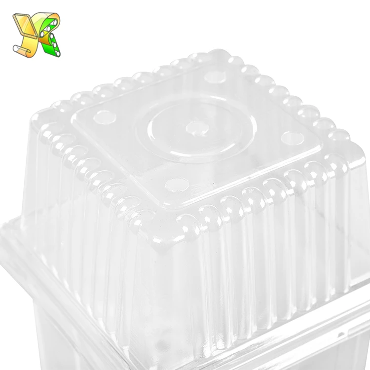 
Plastic high lid lunch box disposable high plastic container fruits guangzhou high plastic lids for salad 