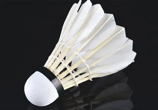 
Gym Training Badminton 