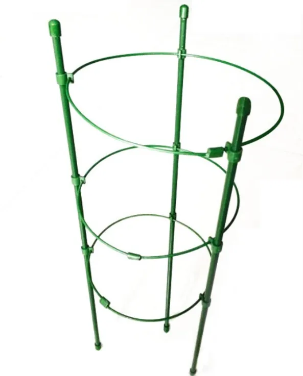 Green tomato ring plant supports for garden