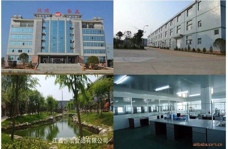 
600 mesh rice protein powder 