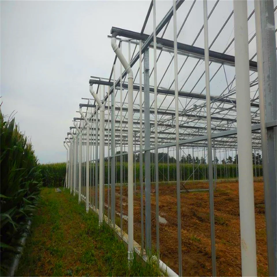 
agricultural polycarbonate greenhouse with 10mm thick polycarbonate sheet as covering insect net 