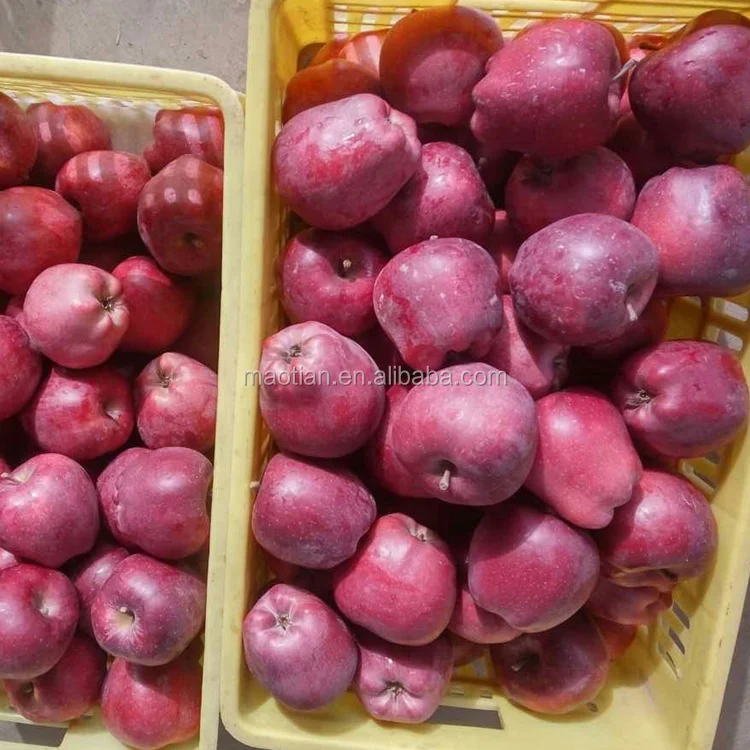 Красное вкусное яблоко хуани