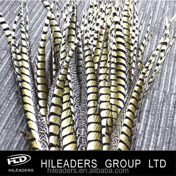 Натуральные дамские перья фазана