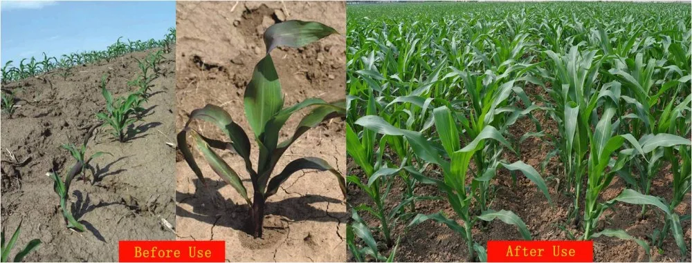 NPK 12-12-17+2 MgO Compound Fertilizer