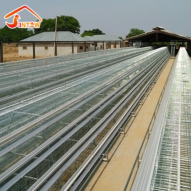 layer chicken cage of poultry equipment for sale in Nigeria Q235 steel galvanized one old day  chicks rearing battery cage