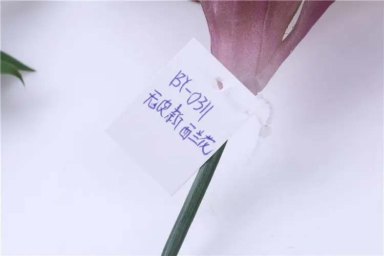 
Best selling unique design living room decorations cactus and succulents 