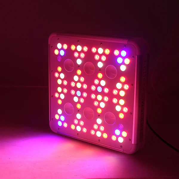 2019 Crees  CXA1512 Full Spectrum COB Grow Light 300w LED Grow Light with Advanced Technology