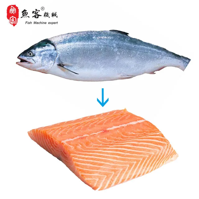 Fish Skin Remove Machine Salmon Skinner for Food Processing Professional Fish Peeling Machine