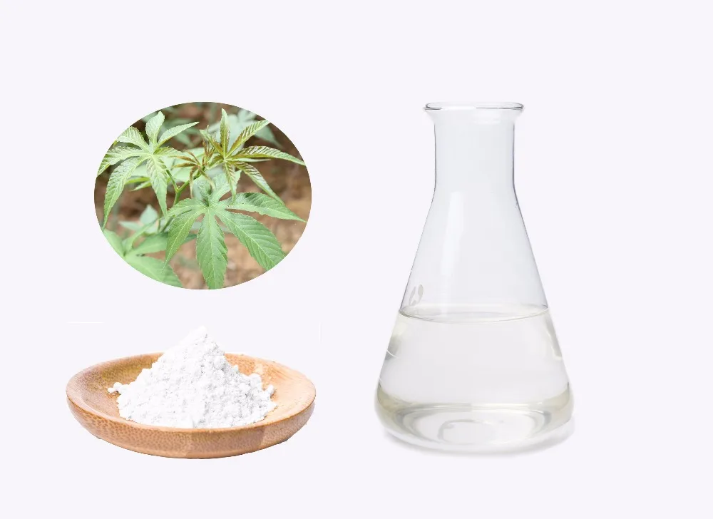 Factory Direct Supply Sweet Tea Extract 70% Rubusoside, 20% Polyphenols UV