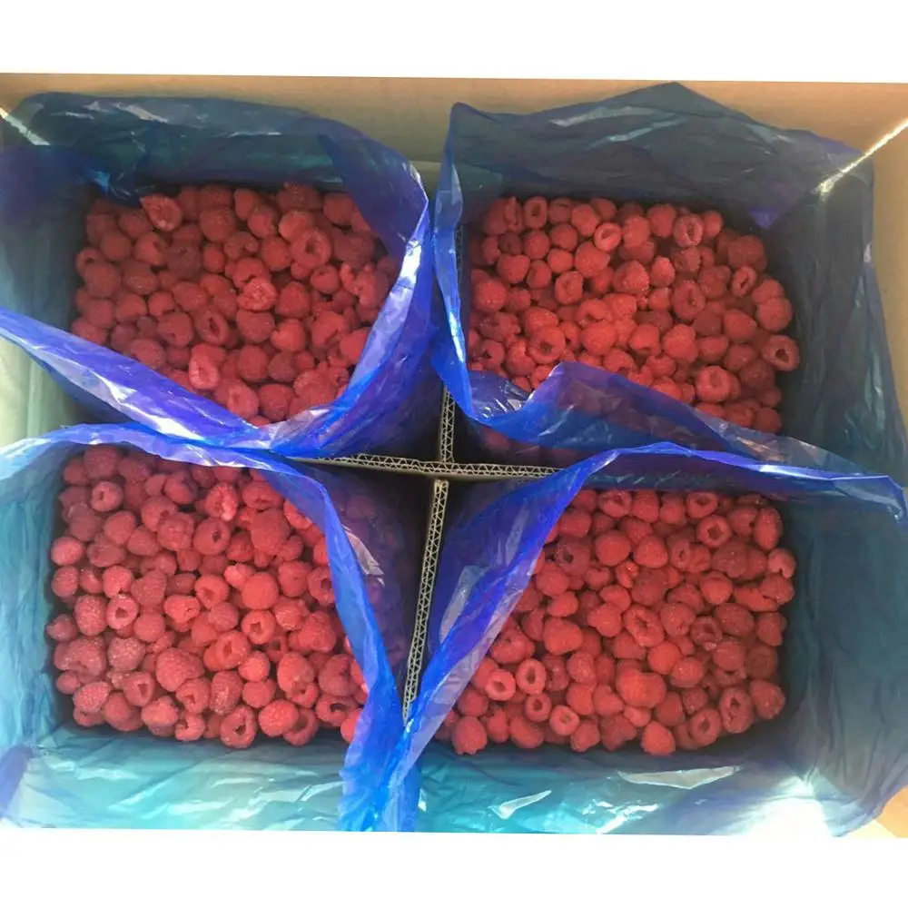 
new season good quality good price Frozen Raspberry whole IQF Raspberry whole Individual Quick Frozen Raspberry 