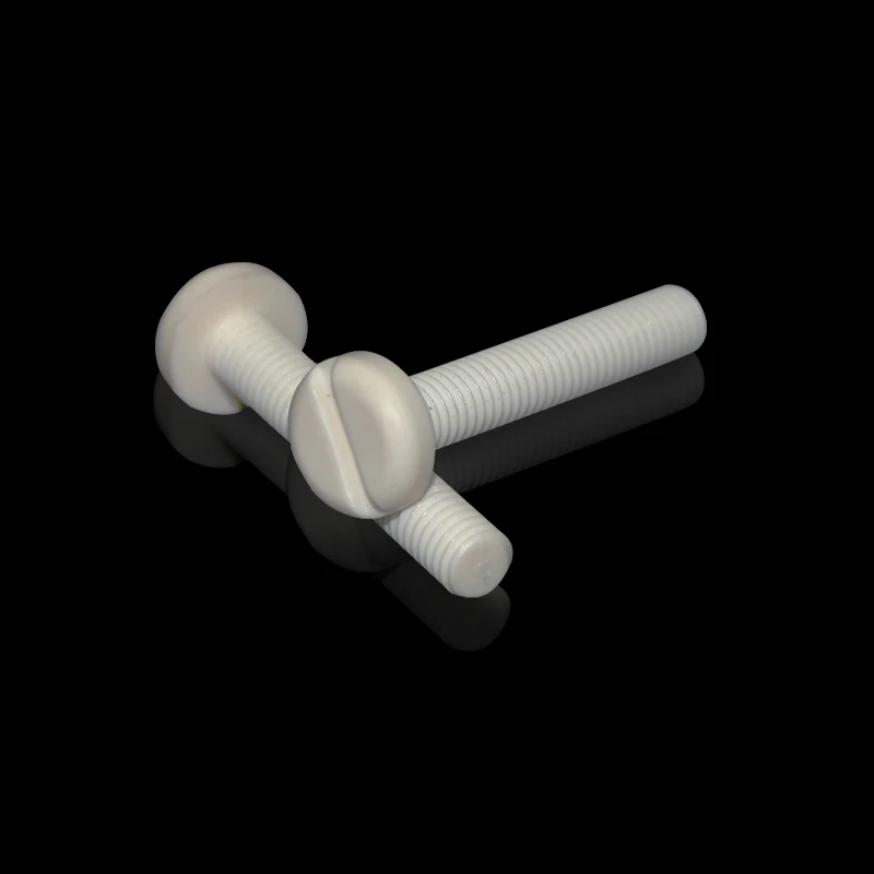 Plastic Slot Pan Head Polypropylene PP Plastic  bolt  plastic screw and nut