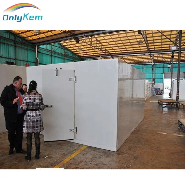 mini cold room/small cold storage/cool room for food