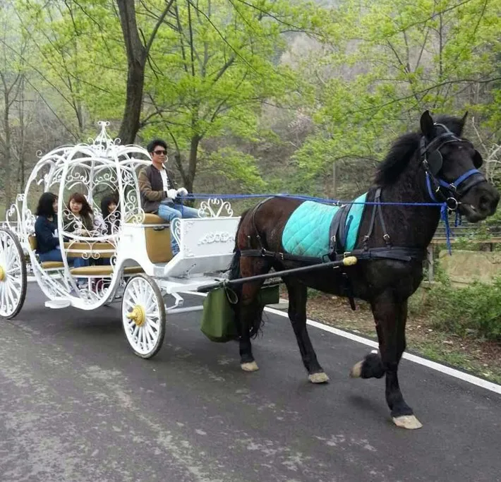 Pumpkin  cinderella Victorian Wedding  Horse Drawn Carriage for Sale