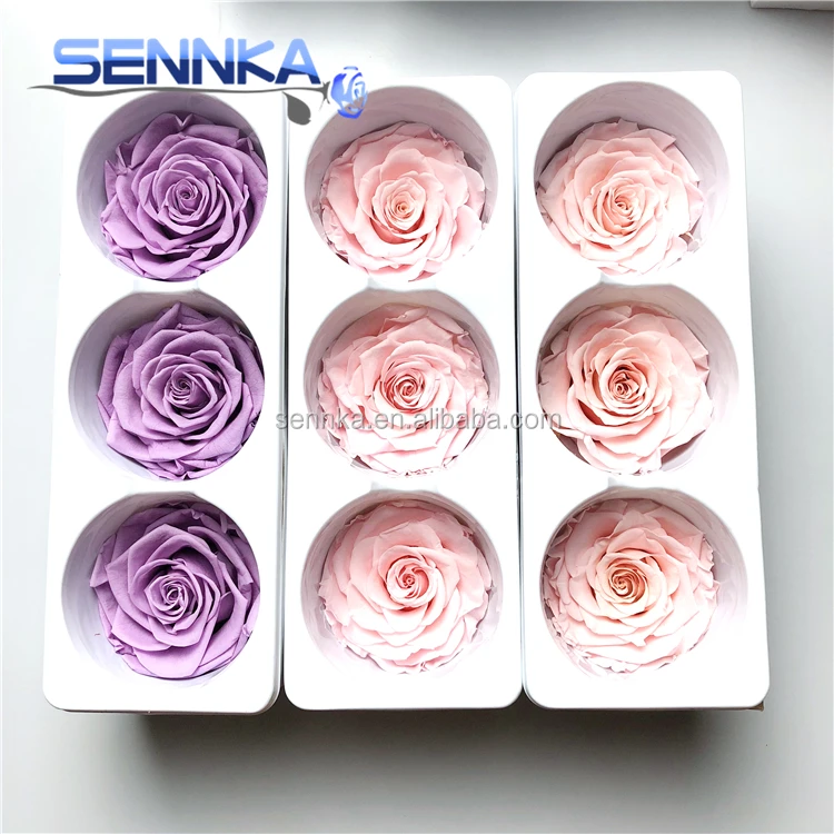 Preserved Rose Eternal Dried Flower Birthday Party Wedding