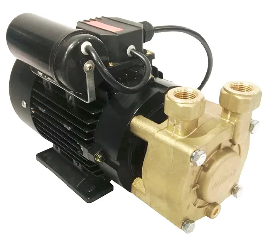 Aulank  WD  Series Water Pumps High Efficiency Hot Oil Booster Vortex Pump