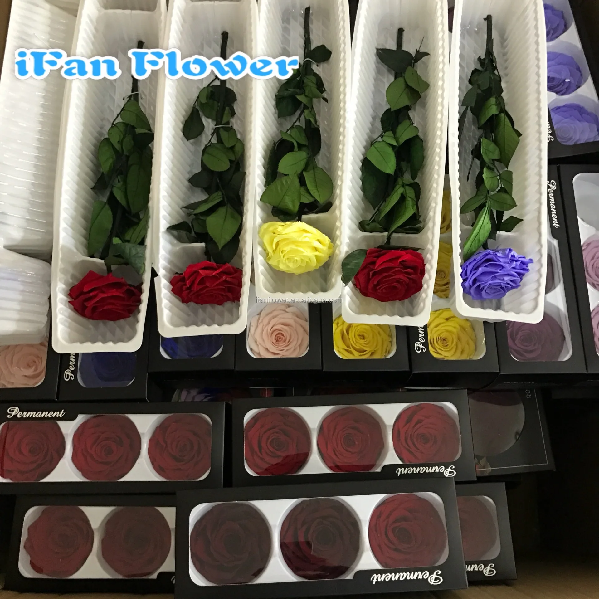 Высококачественные свежие консервированные Цветочные гвоздики для Дня матери