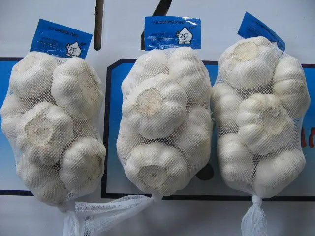 Свежий Чистый Белый Чеснок