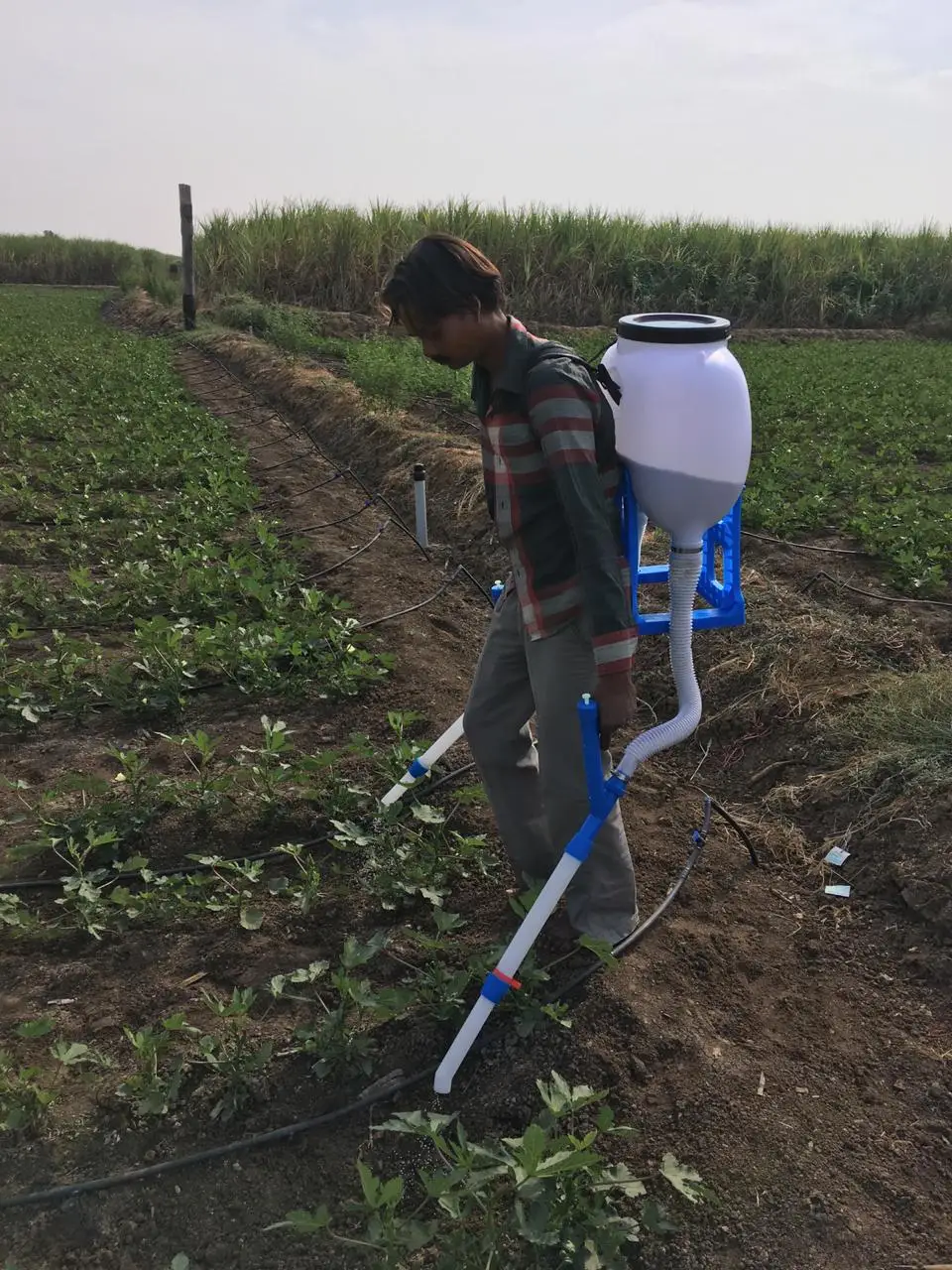 
LQT 20L Throwing Fertilizer Machine Knapsack Fertilizer Applicator 