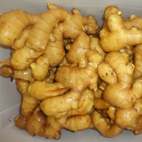 
fresh ginger supplier of qingdao huahong food 