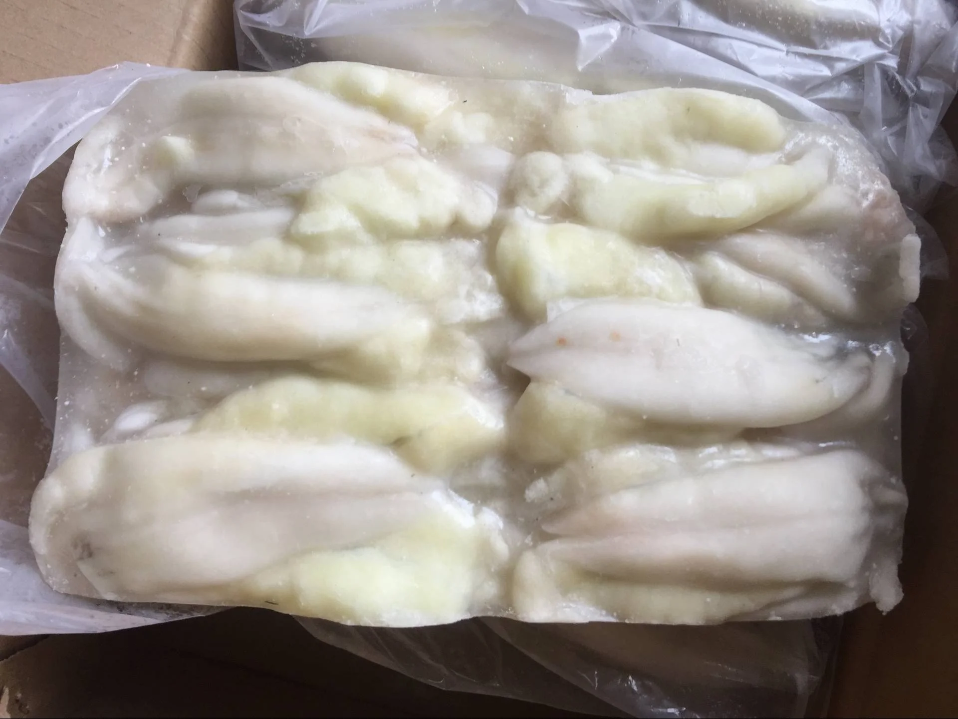 
Frozen Illex Squid Roe/Egg High Quality 