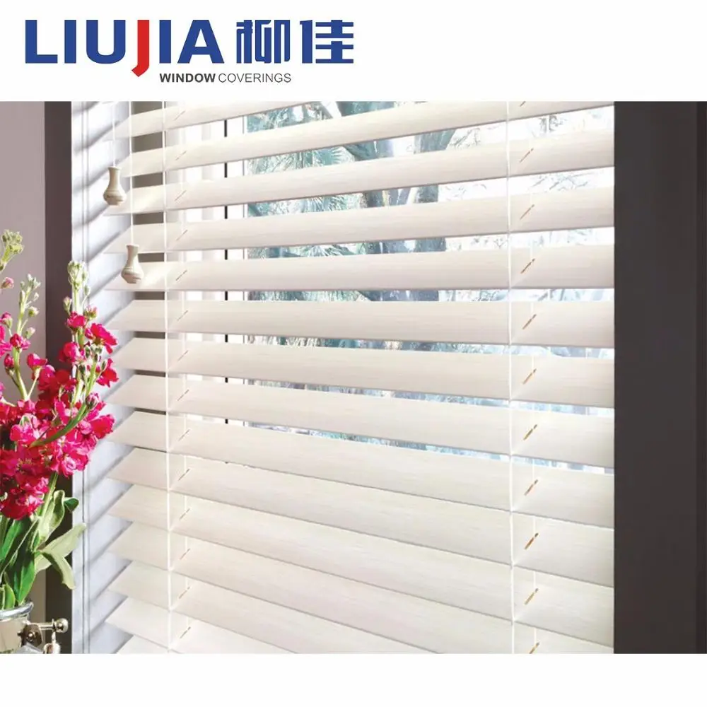 Modern Manual Indoor Venetian Blinds,Curtain Blinds Window