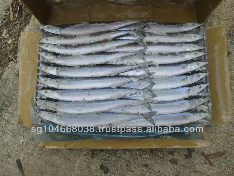 Серая круглая морская волна