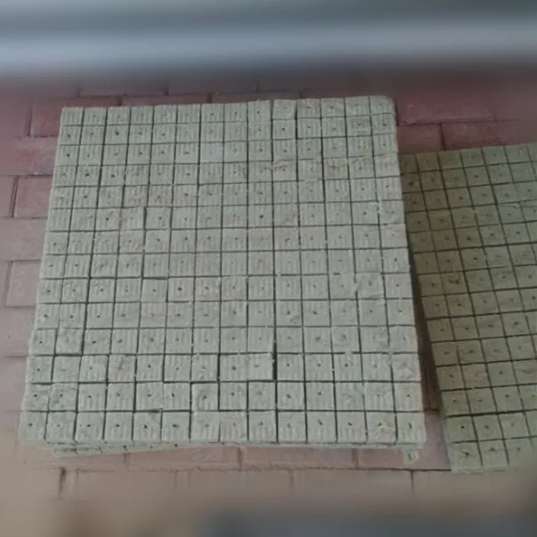 Парниковых оросительной системы 2 дюймов питательная среда кубики