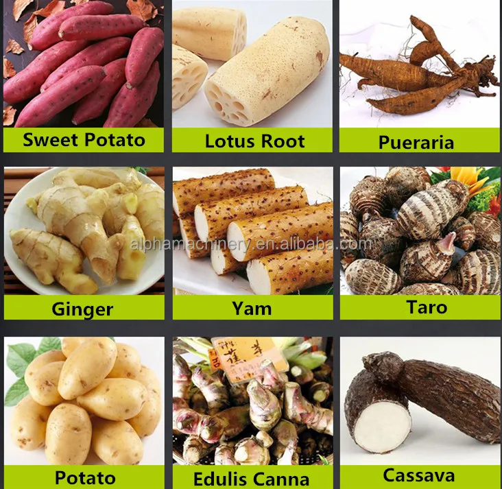 Cassava Grinder Electrical graters