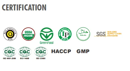 Best raw material  for Soy milk Coffee  / Instant soymilk powder C30 with 30% soy protein