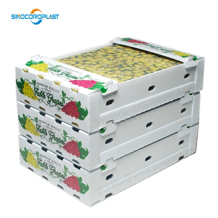 Fruit Packing Corrugated PP Plastic Flute Box