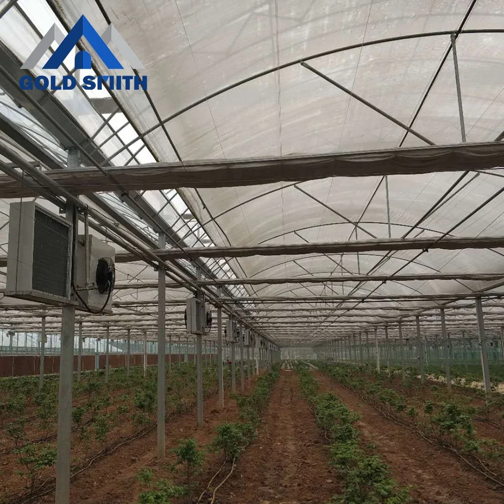 Commercial Multi-span Film Tunnel Agriculture Greenhouse with Hydroponic System