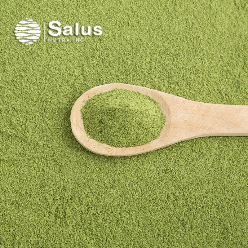 Top Quality Matcha Green Tea Matcha Powder Matcha