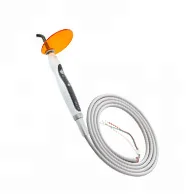 Dental Equipment for Oral Cavity