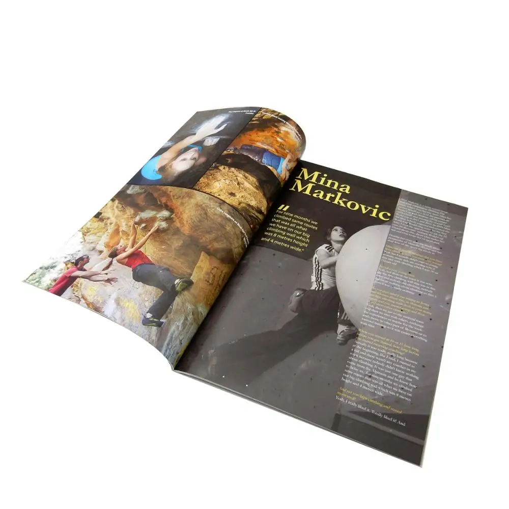 CMYK профессиональный дизайн пользовательский цвет a4 Журнал затраты на производство