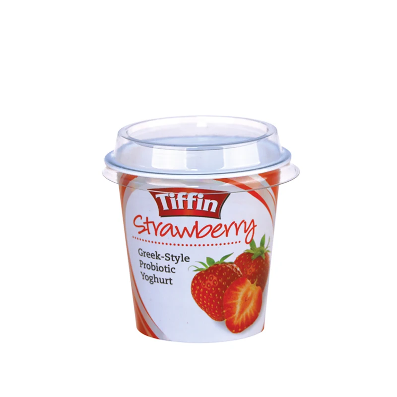 
6oz Yogurt plastic cups supplier 