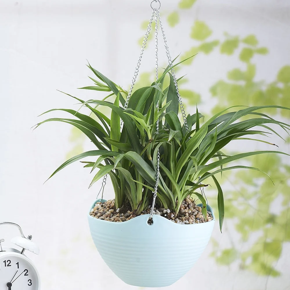 Hanging Flower Planter Pots with Chain for Indoor Outdoor Home Decoration