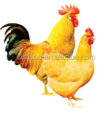 
Feed grade mannase digestive enzyme reducing viscosity to promoting feedstuff 