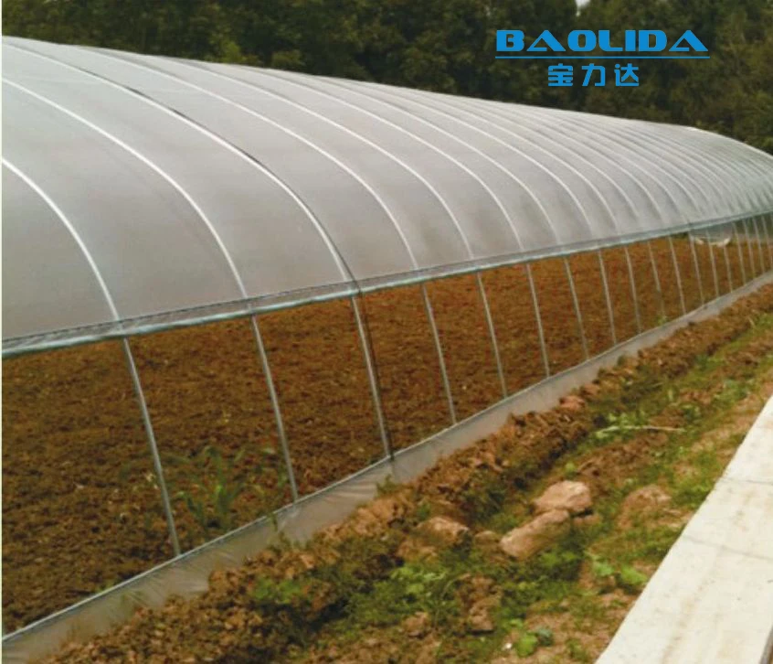 
cheap vegetables tunnel greenhouse baolida tunnel green house 